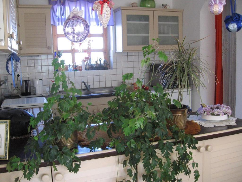 Pension Ovari Bük Cameră foto